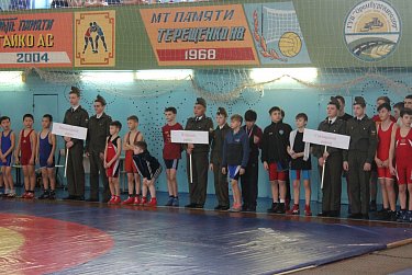 Рабочие поездки депутата